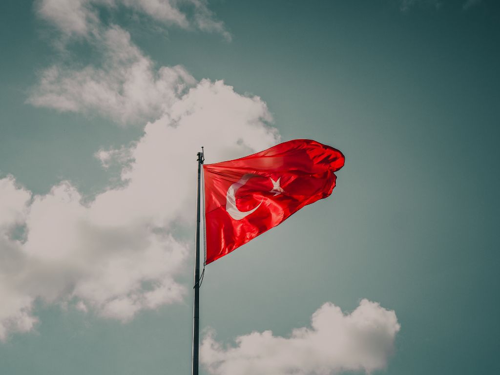 Applying For Citizenship By Investment As A Turkish National outlined in detail